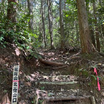 北登山口到着
ここから急登