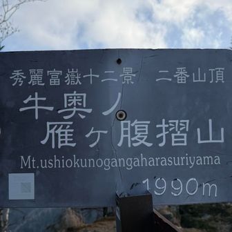 牛奥ノ雁ヶ腹摺山【うしおくのがんがはらすりやま】
日本一長い名前の山とのこと。
