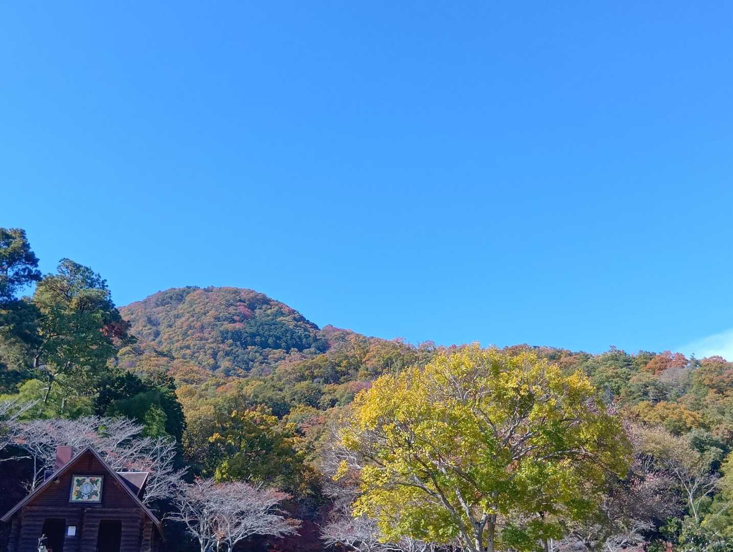 ふるさと公園から