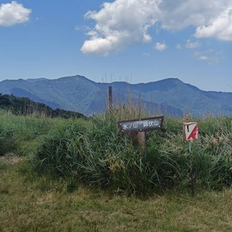 氷ノ山との分岐です