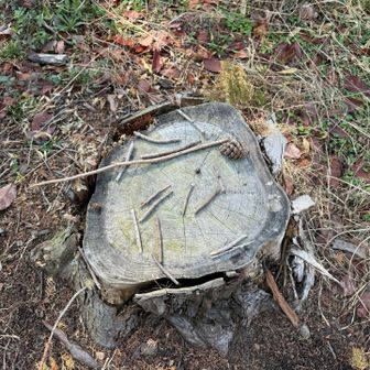 日付のヤツかな
普段は見るだけだけど、今日はやってみようか