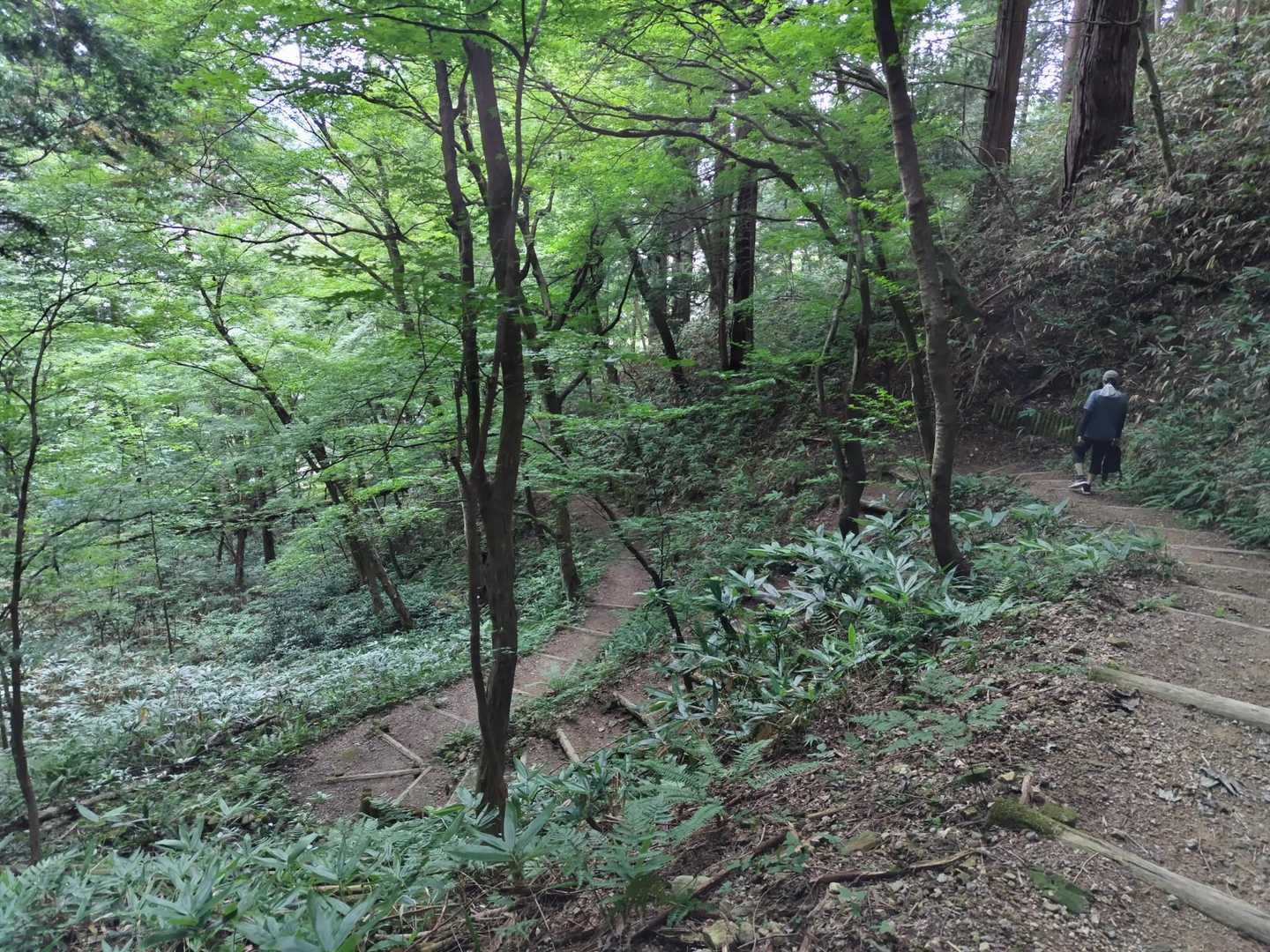 つづら折り