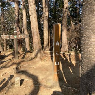 途中の青入山