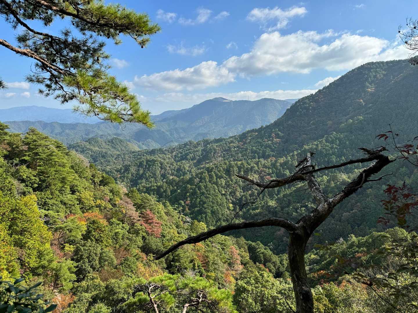 岩湧山