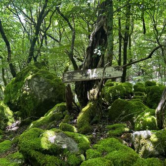 久しぶりに水窪百山の経塚に寄りました！ 癒される〜☺️