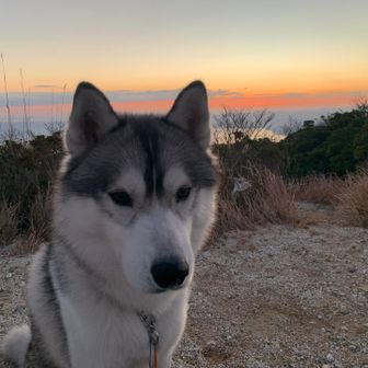 今日はここで☀️
おすわりしてるのは