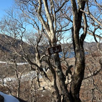 で、もう一山
篭山⛰️