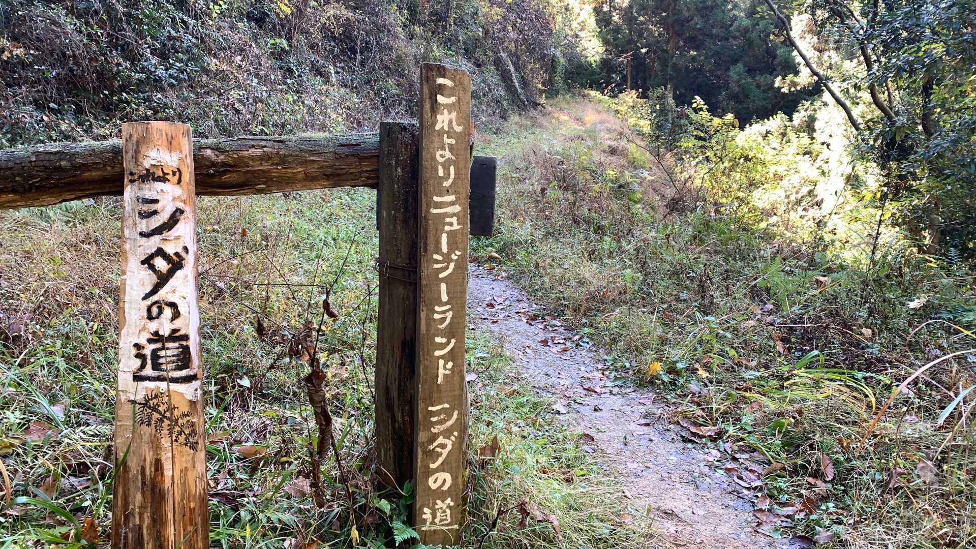 柏木山-赤根峠-龍崖山 周回コースの写真