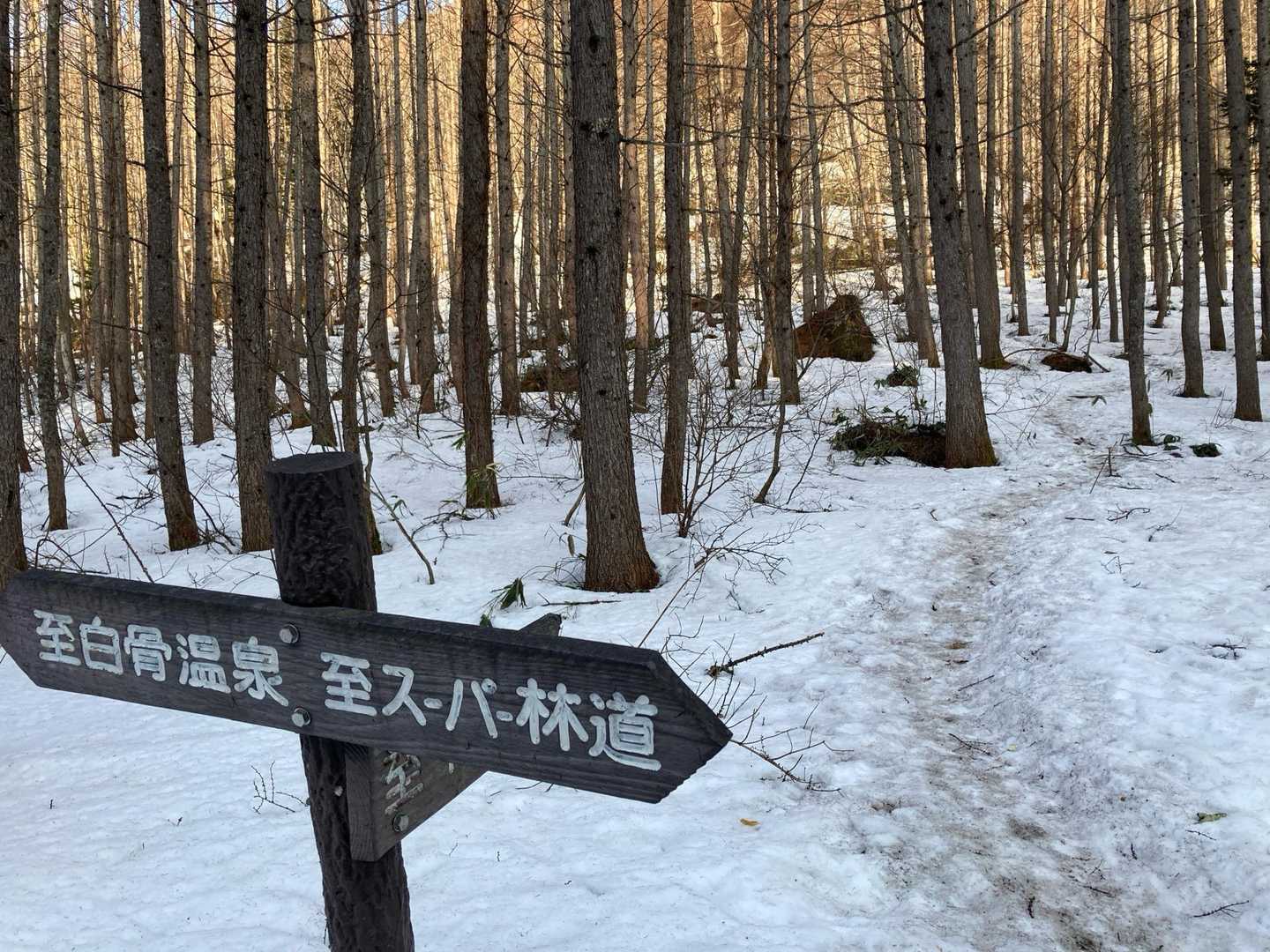 この標識の少し手前まで雪なし

ここら辺は雪が凍ってる
急斜面の登りが始まる
大きな九十九折りの夏道と違って、この時期は直登なので、アイゼンを装着👍🏻
