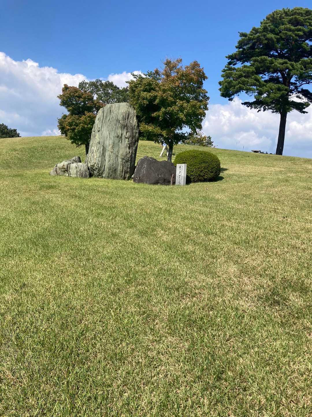 テクトクチェック☑️