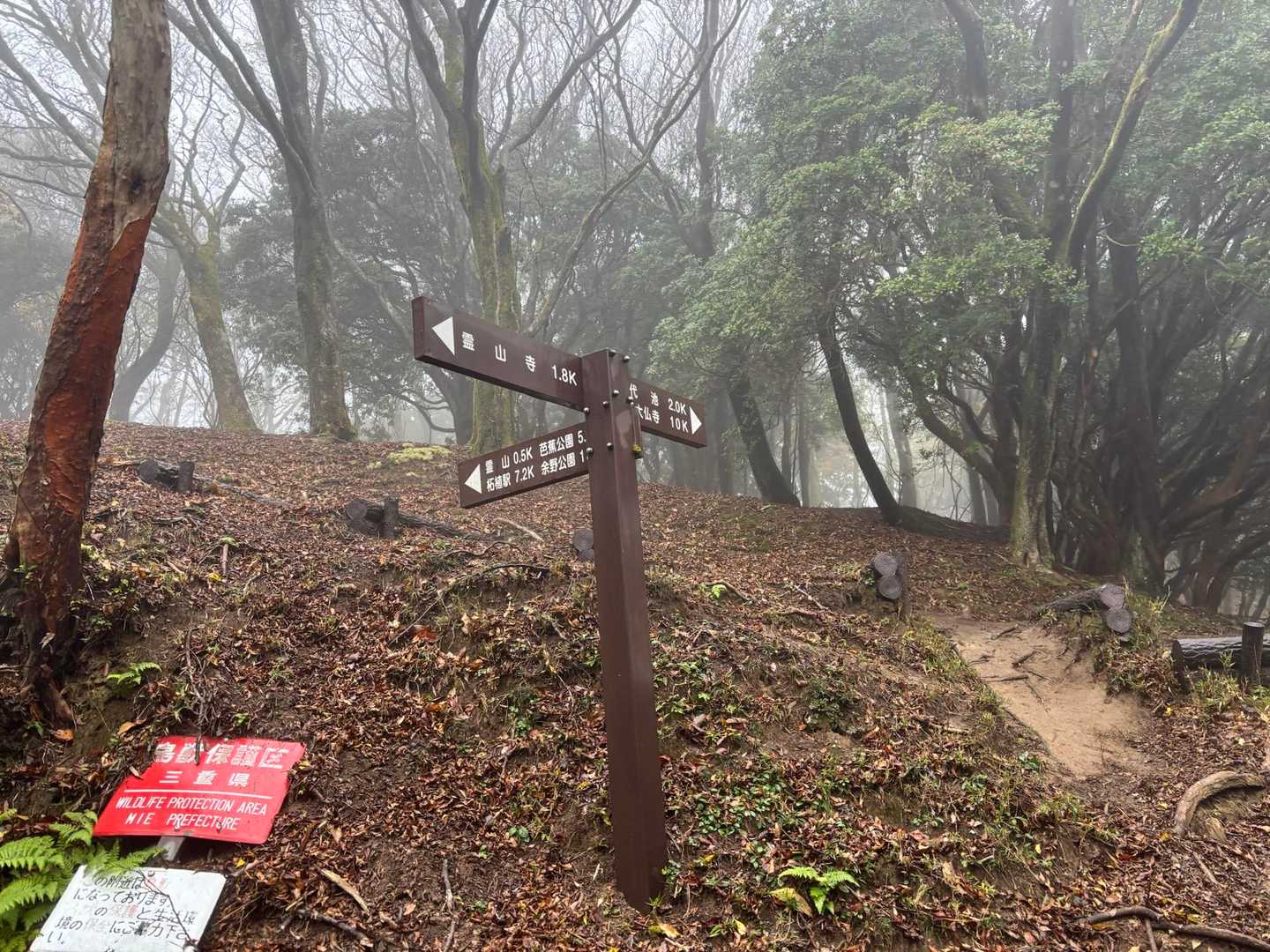 霊山寺登山口-霊山 周回コースの写真