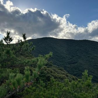 岩頂より③
それぞれかなりへっぴり腰で撮影…