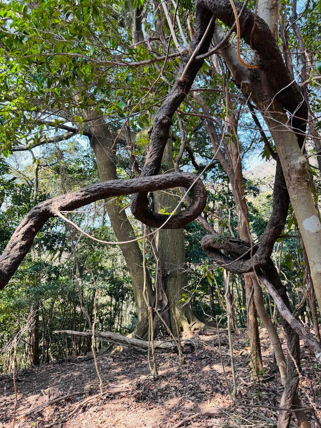 何をどうやったらこんなにひねくれるんだか🤭