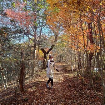 へっぽこ（もぐ）