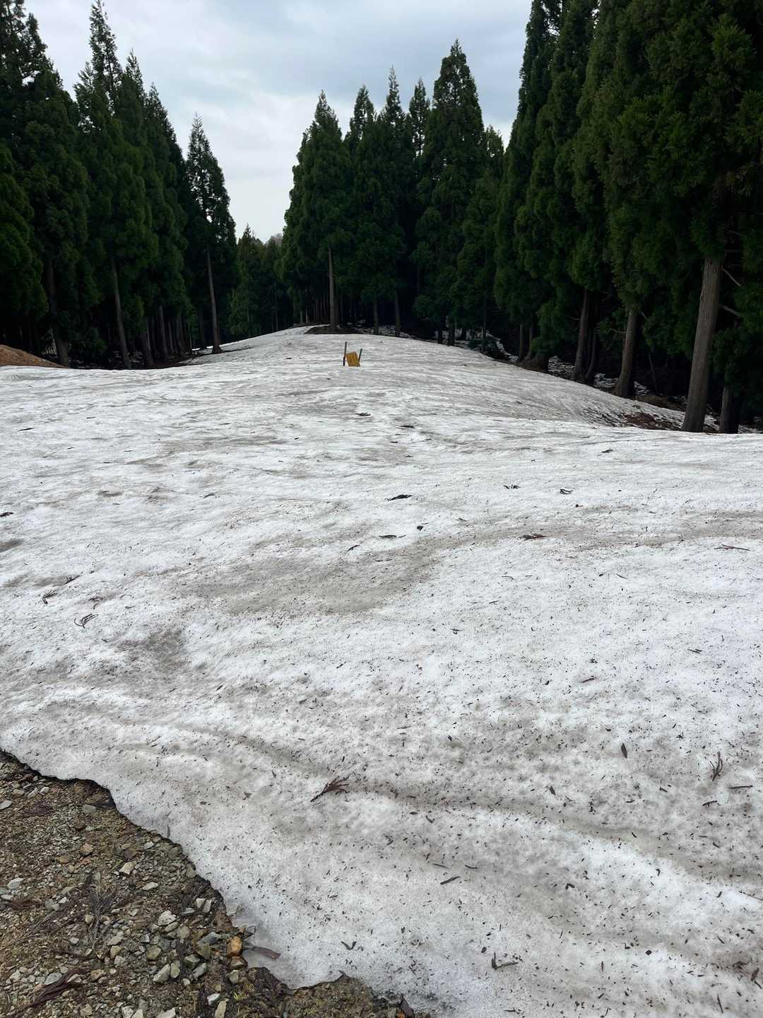 まだしっかり雪ある。今日は踏み抜き少なめな気がする。