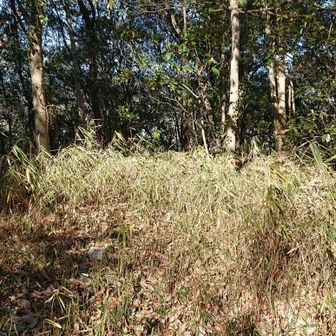 山名板と、三角点