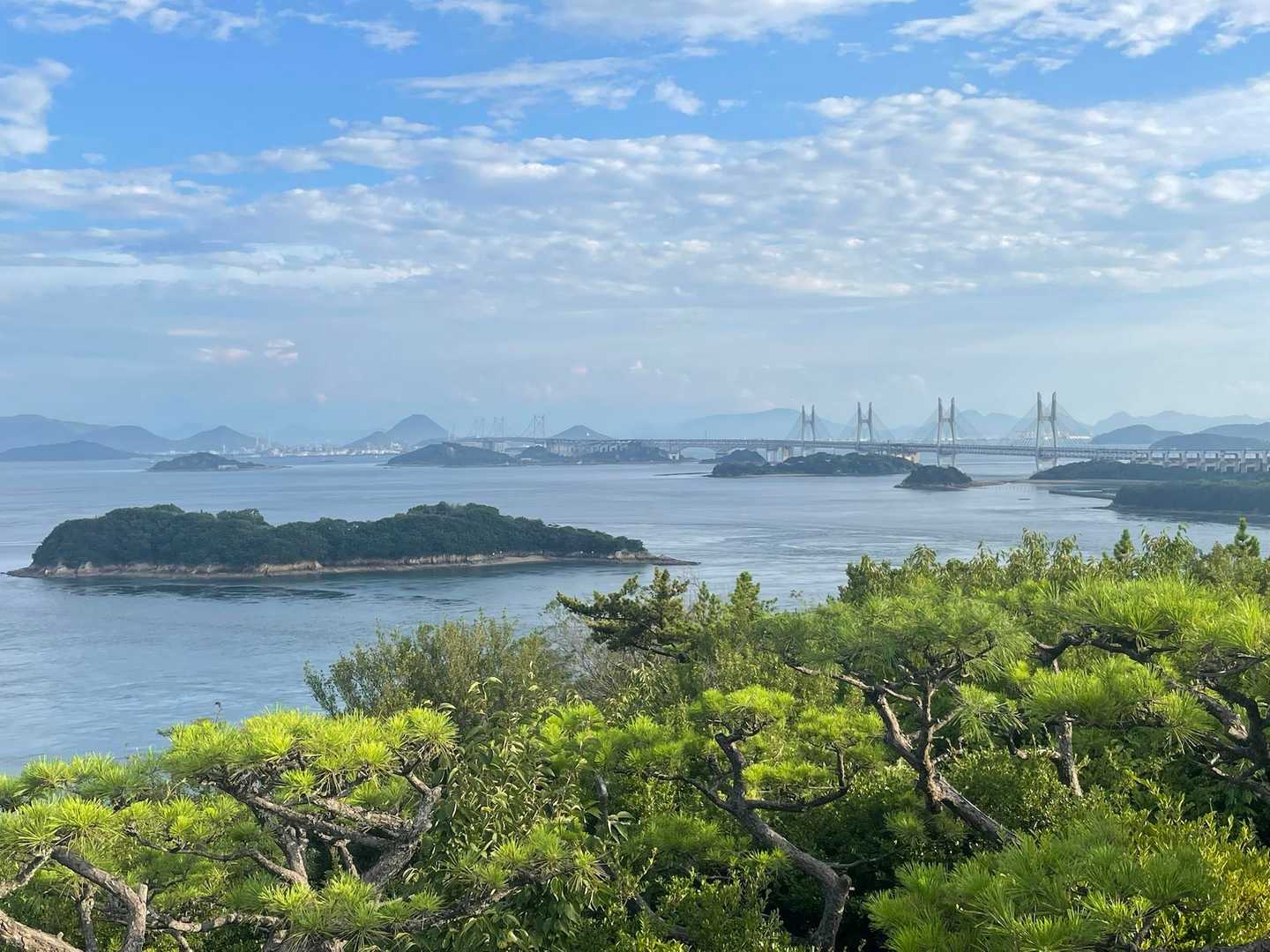 より晴れてきた後☀️