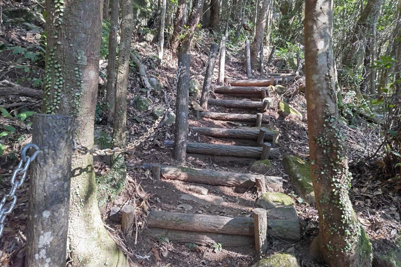 本格的な登りに