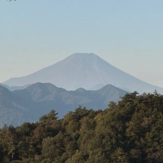 お富士はいつ見てもイケメンやなぁ