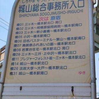直通バスには乗らず、バス停まで歩きました。丁度良くバスが来てラッキー🙌
橋本駅北口へ