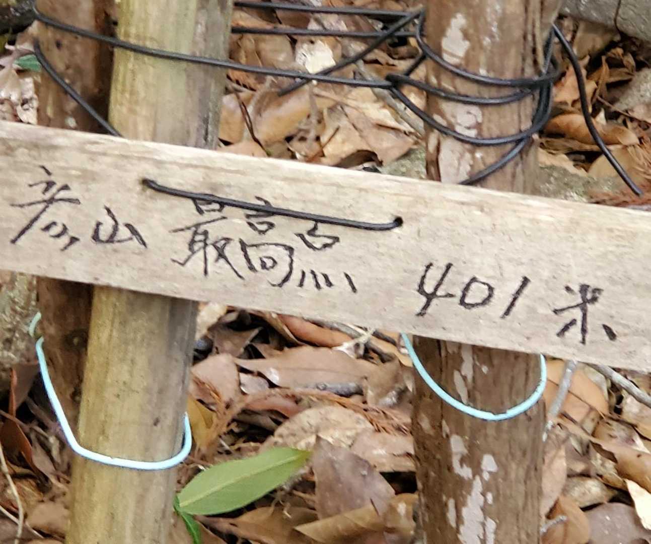 彦山最高点