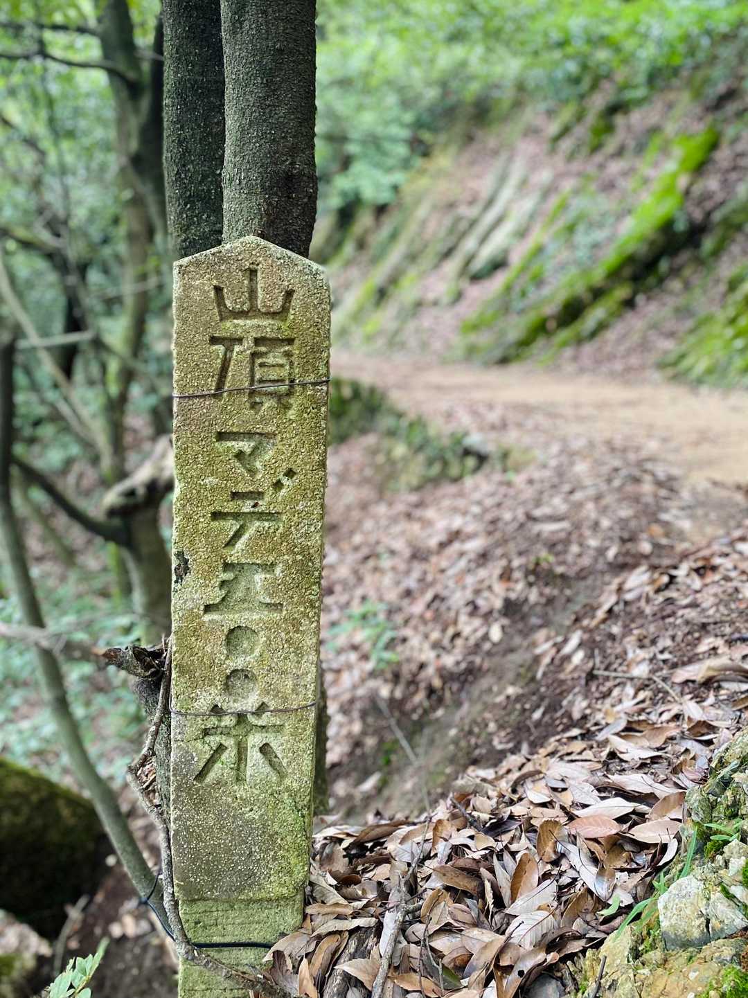 山頂マデ500米
