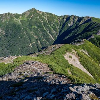 塩見岳を見る、見えてる範囲の稜線をいまから全部通って帰ります