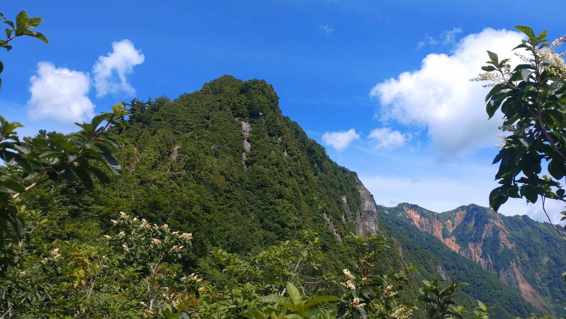 山頂方面、右の奥が山頂。