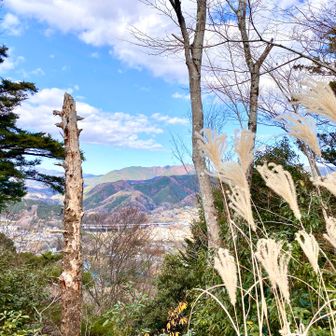 宝山からの眺望📸