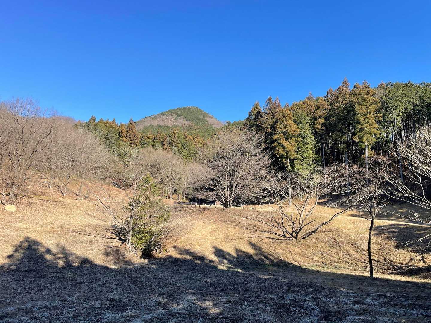 綺麗な施設です