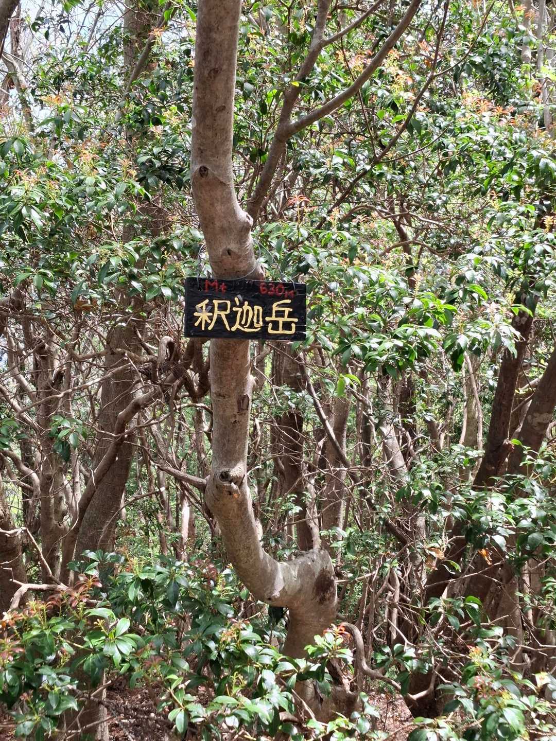 景色は無し😢