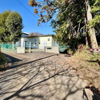 ここの分岐は左へ👈🚶🚶🚶