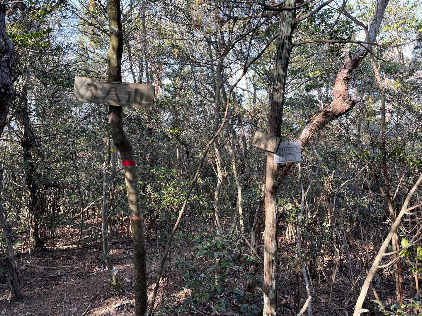 少し離れた場所に山名板見っけ‼︎😁
