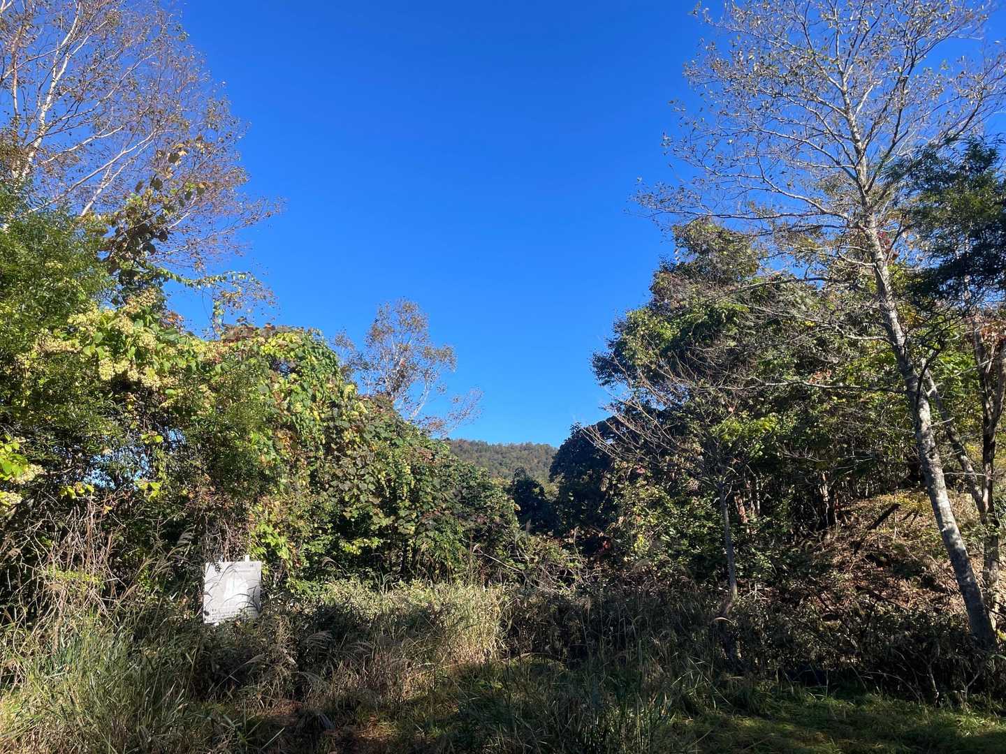 やっと大川峠まできました！
ここから右のピンテ登山口から稜線へ