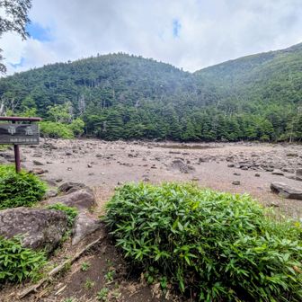 北横岳から亀甲池までは急登一気で下山。何メートル下ったんだろか？
八ヶ岳稜線これで終わりでいいんじゃないの〜と呟きつつ…