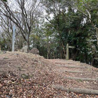 道を間違えて登り直して引き返してきた所
雌鋤先山にちょうど分岐があった様です