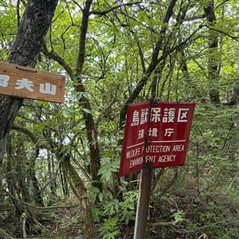 留夫山