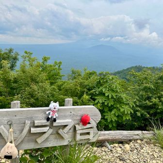 ここも本当なら富士山がどーんって見えるはずだった…