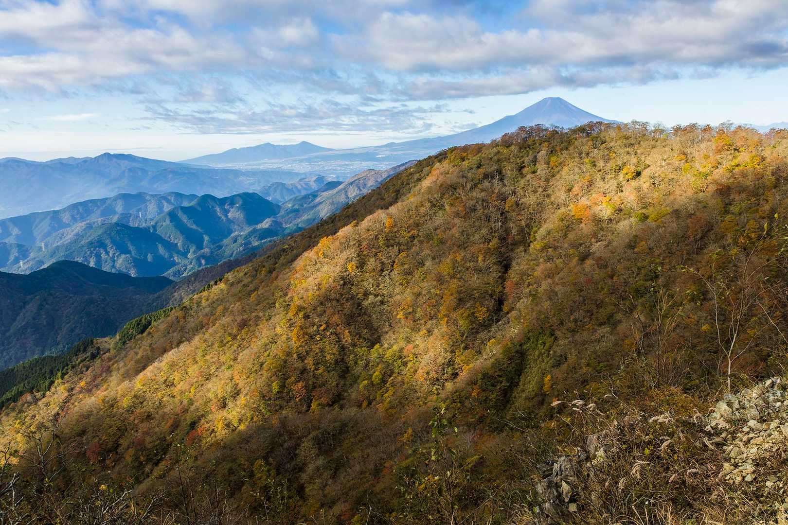 富士山と裾野と愛鷹山、手前の斜面は紅葉。
