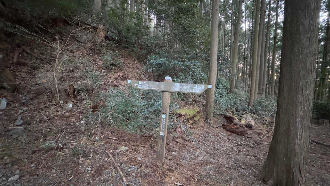 秋葉山上社へ初詣ハイク の写真 7