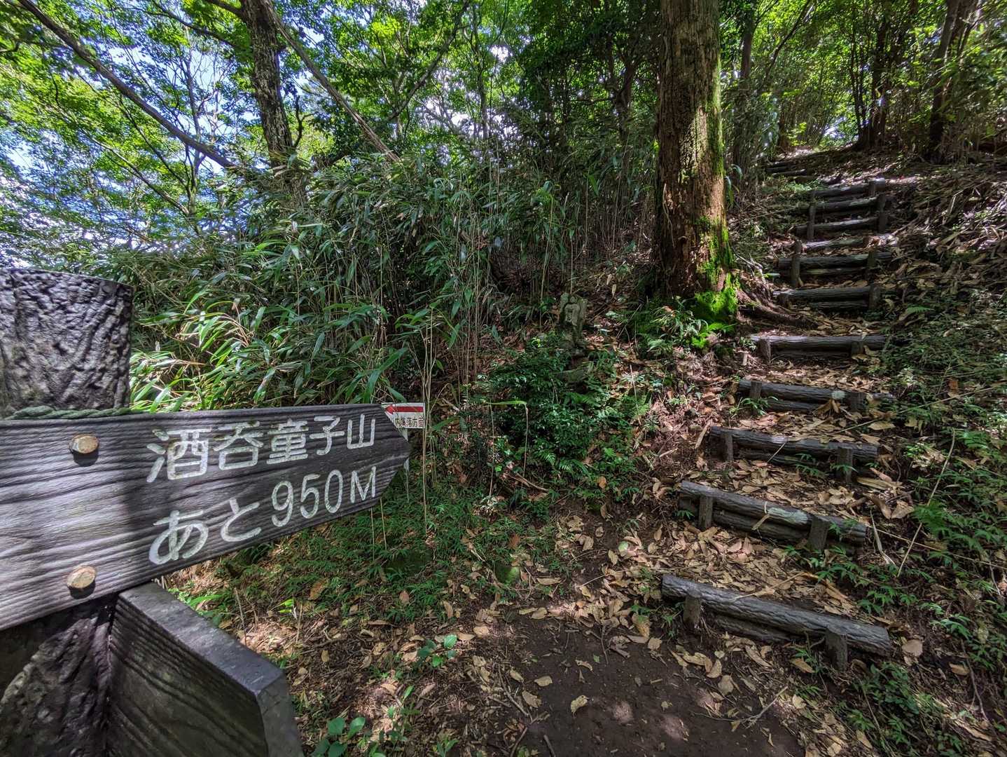 小鈴山-酒呑童子山 往復コースの写真
