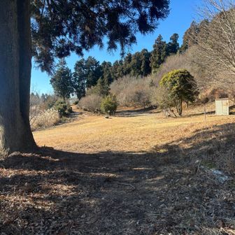 広くて整備されている。