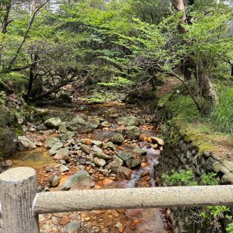 硫黄の匂いがなんか好きなんですよね