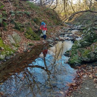 左門岳 ちょろちょろと小川が流れています。