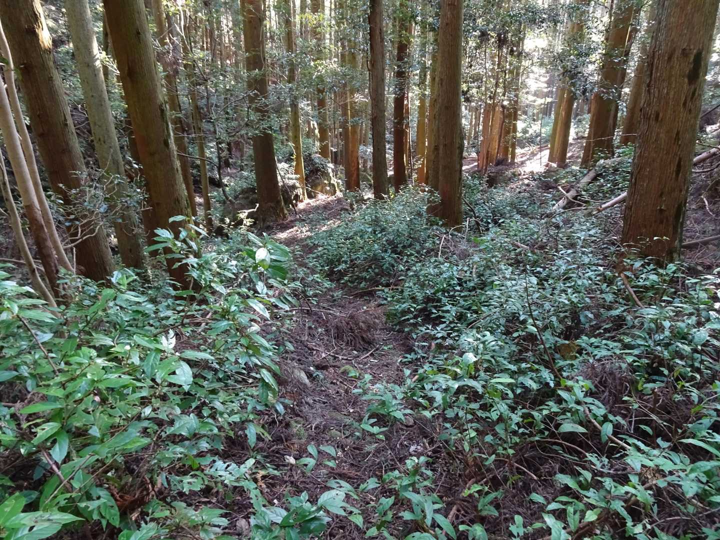 谷間をひたすら下ります。