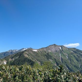 ４日前に登った別山
その奥に白山