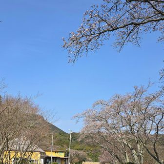 さて、今日はロングだから戻りはアスファルト行くか