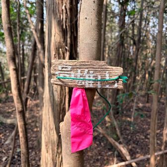 高雄山🔺（７座目）