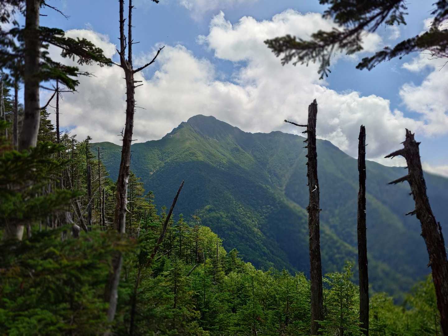 本谷山-三伏山-三伏峠-鳥倉登山口 縦走コースの写真