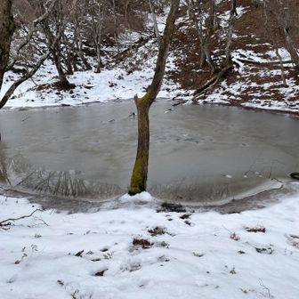 池凍ってました